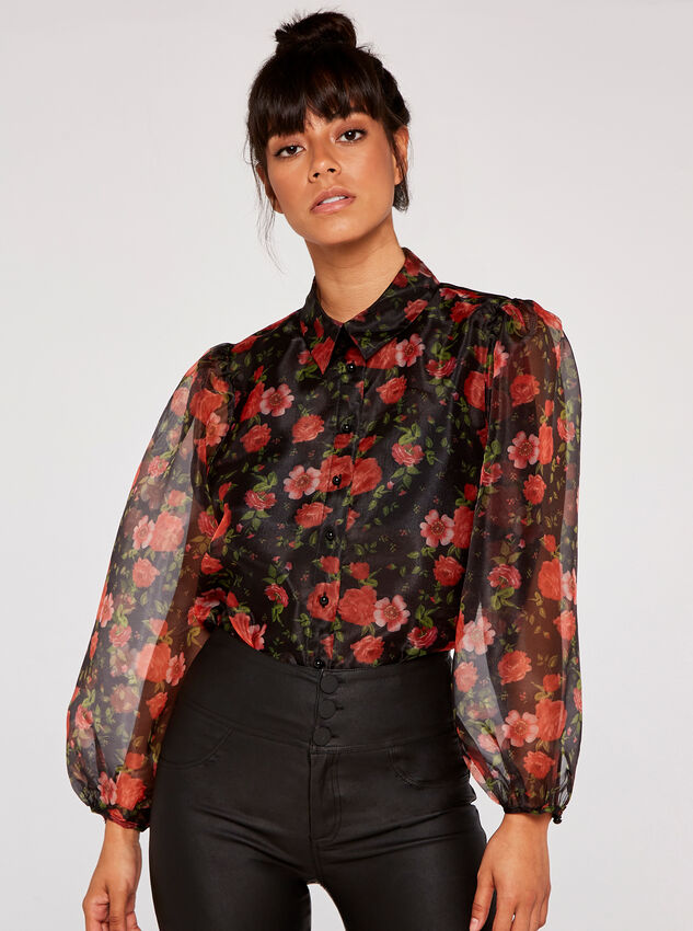 Roses Organza Puff Sleeve Shirt | Apricot Clothing