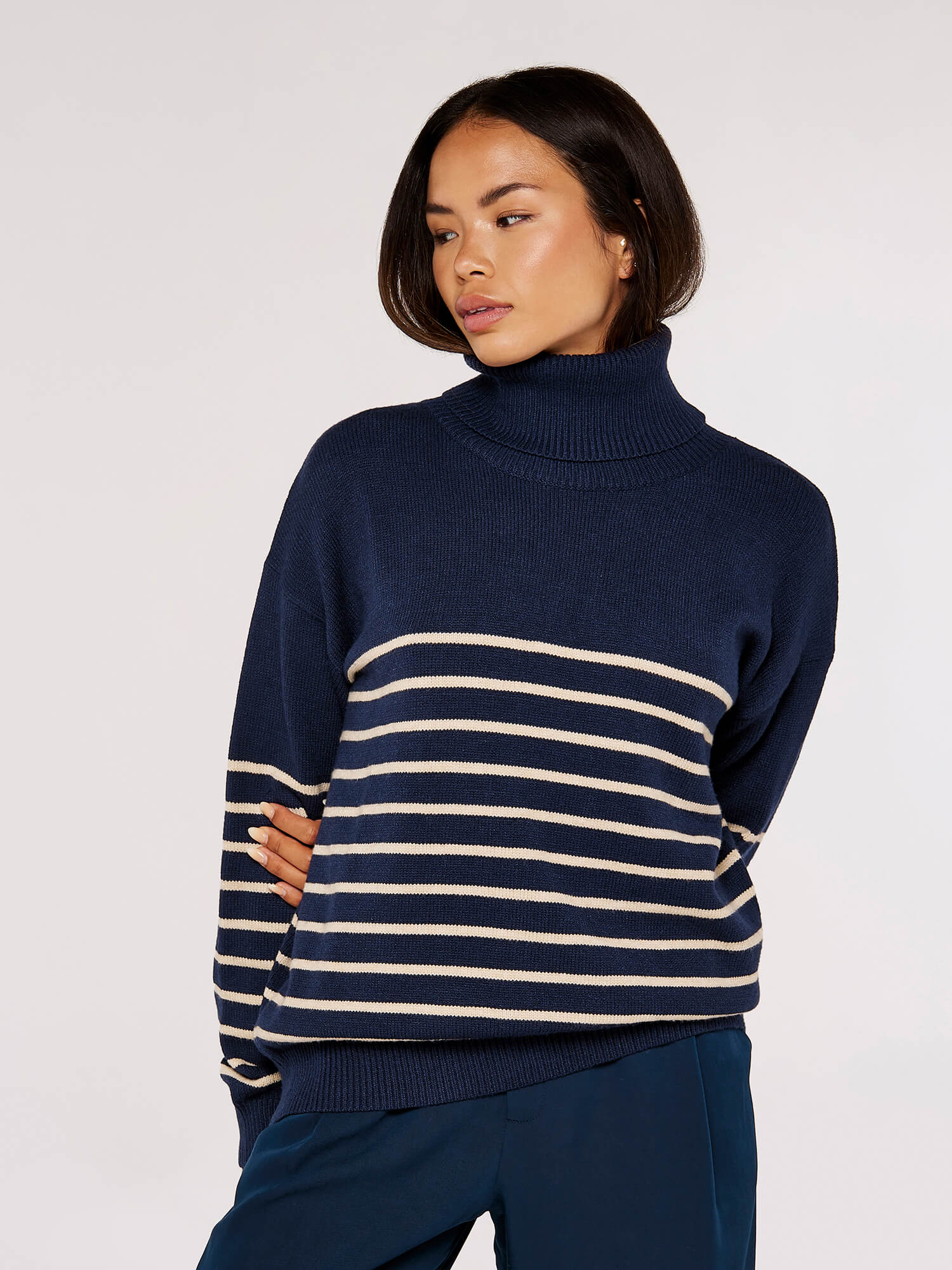 Striped Roll Neck Jumper | Apricot Clothing
